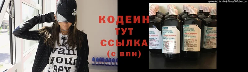 купить закладку  Каменск-Шахтинский  Кодеиновый сироп Lean Purple Drank 