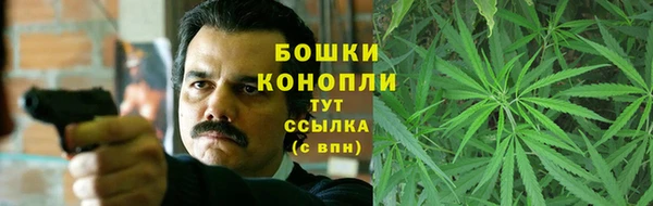 PSILOCYBIN Михайлов