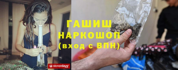 PSILOCYBIN Михайлов
