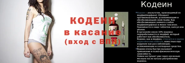 амф Щигры