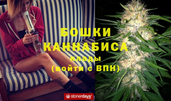 PSILOCYBIN Михайлов