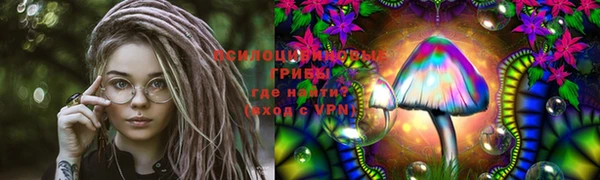 PSILOCYBIN Михайлов