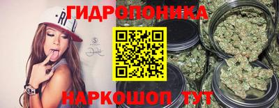 хмурый Гусь-Хрустальный