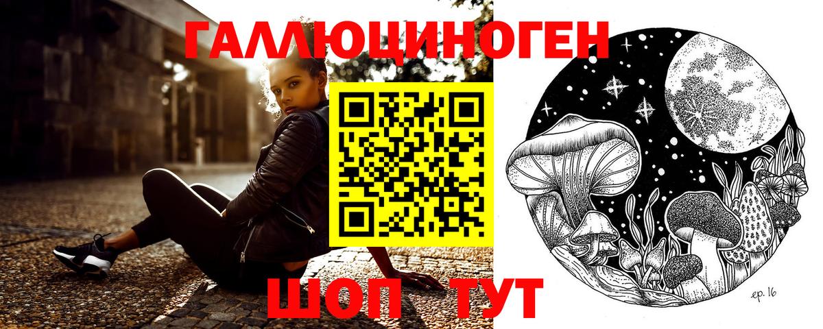 Псилоцибиновые грибы GOLDEN TEACHER  Вход с VPN  Каменск-Шахтинский 