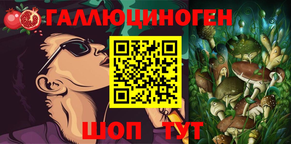 Галлюциногенные грибы прущие грибы  дарнет шоп  Каменск-Шахтинский 