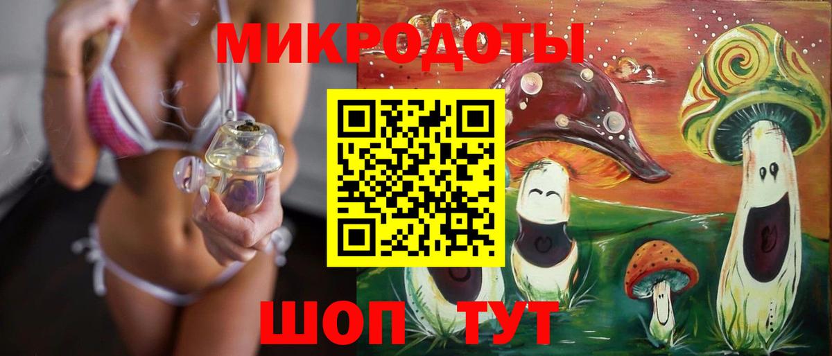 Галлюциногенные грибы Psilocybine cubensis Каменск-Шахтинский